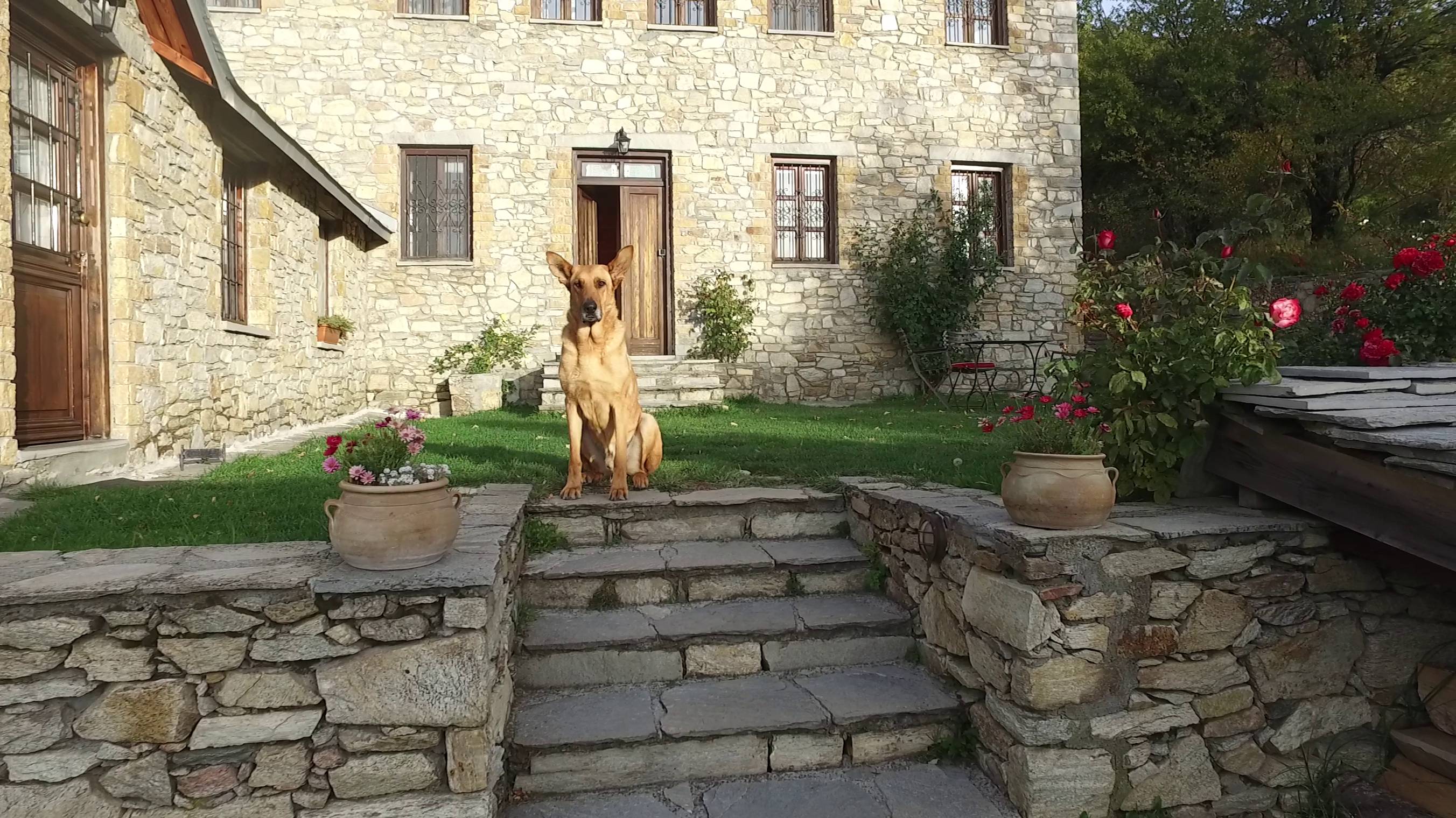 Nympheon transfers from Thessaloniki